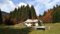Cabana Pietricica - B&B