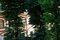 bright and silent apartment near two towers - B&B