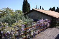 Mercouri stone cottage - B&B Korakochóri