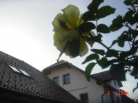 Apartments Vrdjan - B&B Cerknica