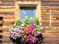 Ferienhaus Höchhäusl - B&B Werfenweng