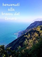 Appartamento
