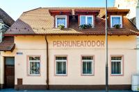 Casa Todor - B&B Sibiu