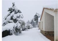  Holiday Home 5