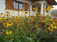 Baba Jagna - Chambres d’hôtes Chocimów