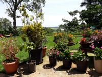 Parque Paraíso das Flores - B&B