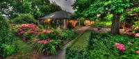 Old WesleyDale Heritage Accommodation - B&B