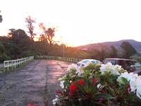 Hortensias Chalets Vara blanca