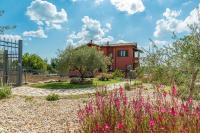 Casale La Desdemona - B&B Sutri