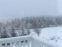 Valley View - B&B Swarland