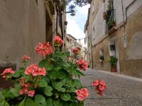 Can Girmas Casa de Turisme rural Navata - B&B Navata