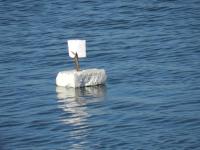 El Departamento de los Abuelos - B&B Posadas