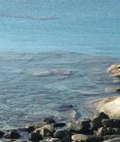 Sul Mare Sardegna Villa Nesea - B&B Villasimius