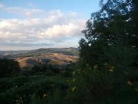 Huis met 1 Slaapkamer