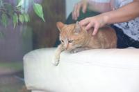 Casa 110 - Ferienwohnung Aldea del Fresno