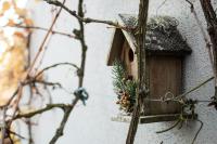 Art & Nature Apartments in der Nähe FFM-Messe - B&B