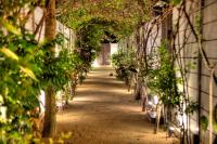 Atoll Haven Villas - B&B