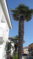 CASA FLAMINIA - B&B Pesaro