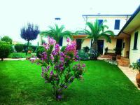 Elisa House - B&B