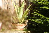 Casa El Campano - Bed and Breakfast
