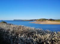 Althea House with parking - B&B Padstow