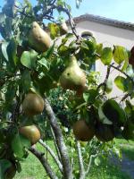 CA`L MOSSEN - Ferienwohnung Sant Joan de les Abadesses