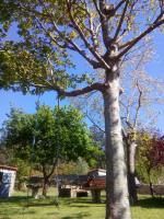 Rincón de Sira - B&B Cee