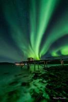 Buvik Sea Lodge Apartments - B&B Buvik