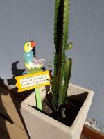 Habitación Doble Económica