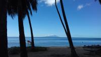 Palm View - B&B