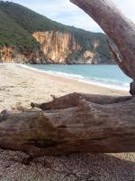 Elina Apartments - B&B Parga
