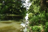 Baumhaus OLD SCHOOL mit Blick auf den Fluss