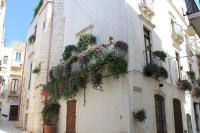 Casa Riccardi - Ferienwohnung
