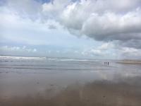 Mountain View Aberavon Beach, Afan Valley & Margam Park, South Wales - B&B