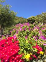 Les Restanques du Sud - B&B
