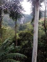 Nature's Glow Homestay And Resturant - Ferienwohnung Ella Town