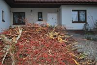 Pokoje nad Młynem - B&B