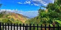 Divine View Homestay - B&B