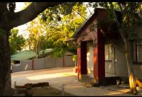 Dreamwood Guest House - Ferienwohnung