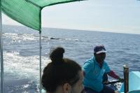 Dutch Bay Beach Cottages - Bed and Breakfast Trincomalee