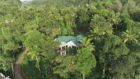 Coffee and Pepper Plantation Homestay - B&B