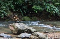 Rain Forest Guest House and Jungle Trekking - Chambres d’hôtes Bukit Lewang