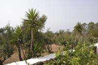 Villa GHURAAM - B&B Pantelaria