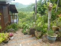 B&B Diwan - Daintree Holiday Homes - The Folly - Bed and Breakfast Diwan