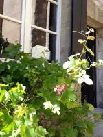 MUSIROSA - Ferienwohnung Vézelay