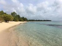 Maison d'hôte "Les Bougainvillées" - Ferienwohnung Port-Louis