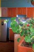 Hostal Don Jose - Ferienwohnung Santa Rosa de Cabal
