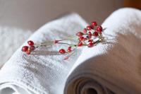 Mini Suite with Balcony and Mountain View