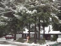 Grandma's Suite - PRIVATE APARTMENT REDUCED PRICE ON TOURS - B&B