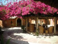 Apani Dhani Eco-Lodge - B&B